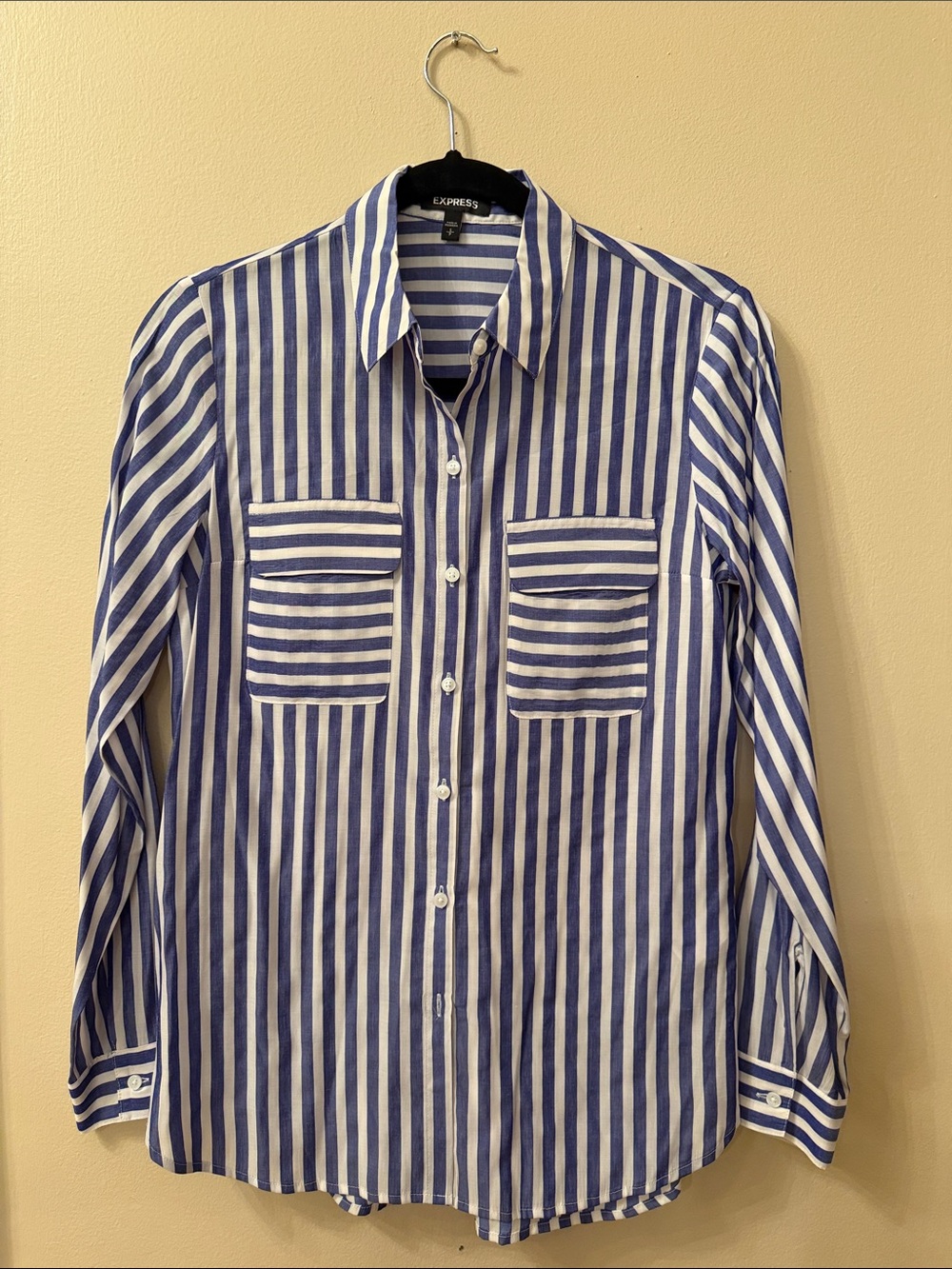 Express Blue and White Vertical Stripe Button-Down Shirt